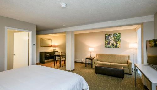 Junior King Suite - Non-Smoking