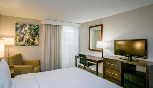 King Room - Non-Smoking