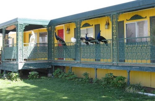 Beatty Hotel | Shady Lady Bed and Breakfast