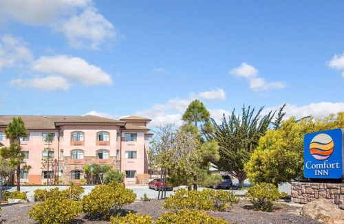Marina Hotel | Comfort Inn Marina
