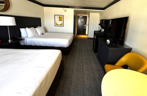 Las Vegas Apartment | Double Wagalong|Pet Friendly|Vegas