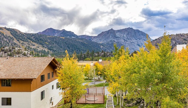 Interlaken 14, large four-bedroom condo