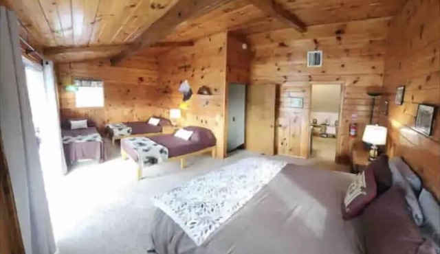 Franklins amazing lake view cabin with boat slip & private Marina